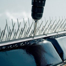 Zabezpieczenia przeciw ptakom