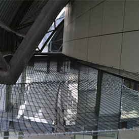 Siatki, kolce - sprzedaż