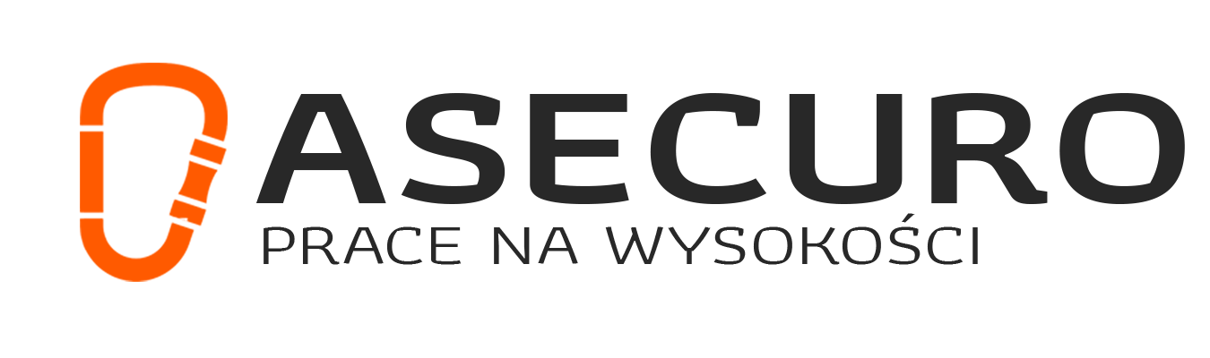 Logo Asecuro